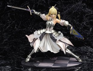 Fate/unlimited codes saber Lily  