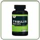 Tribulus  